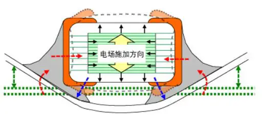 1722223202481501.png 640.webp.png